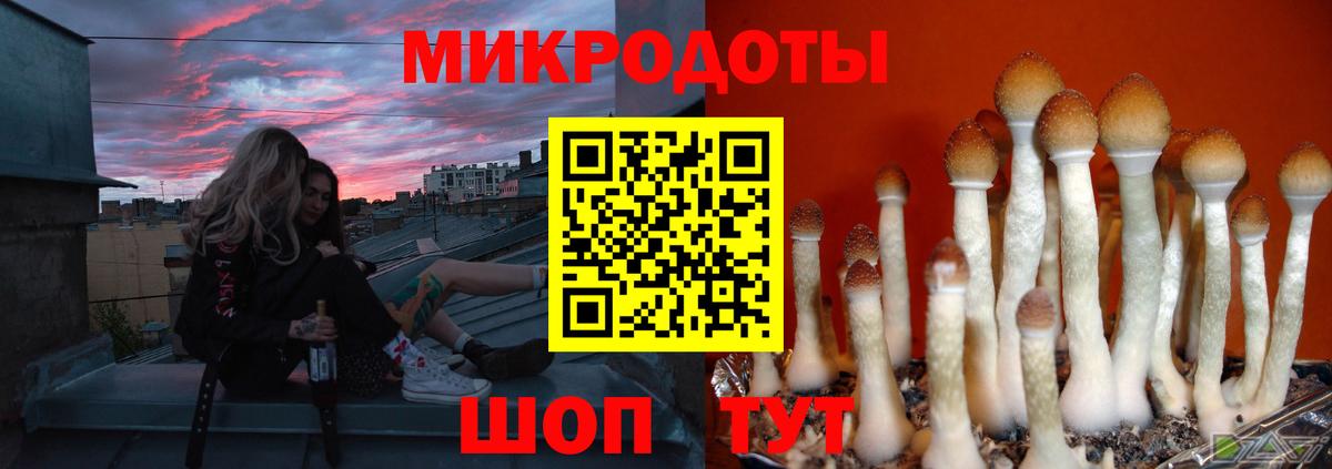Дзержинский  Псилоцибиновые грибы прущие грибы  Вход с VPN  Галлюциногенные грибы MAGIC MUSHROOMS 
